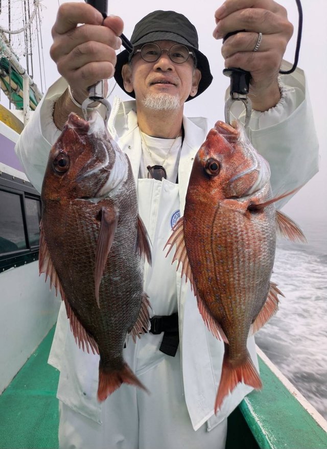 マダイ