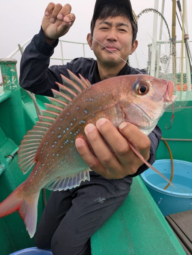 マダイ
