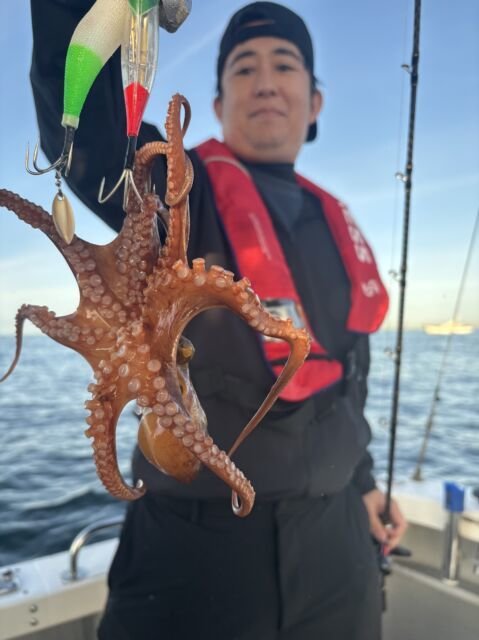 タコ(マダコ)