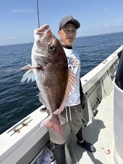 マダイ