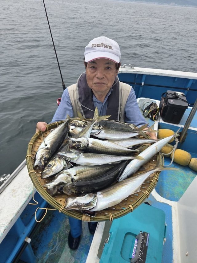 アジ(マアジ)