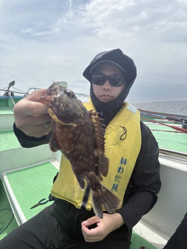 カサゴ