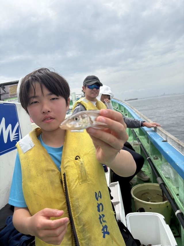 シロギス