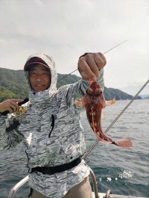 ガシラ(カサゴ)
