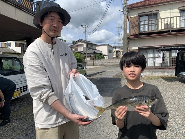 アジ(マアジ)