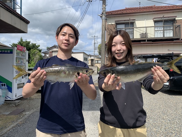 アジ(マアジ)
