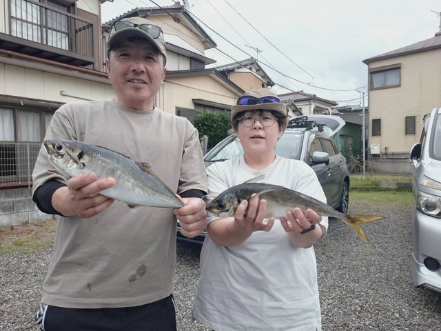 アジ(マアジ)