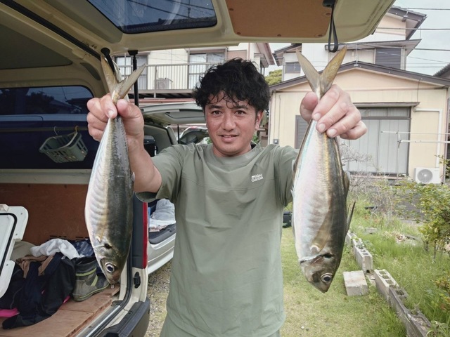 アジ(マアジ)