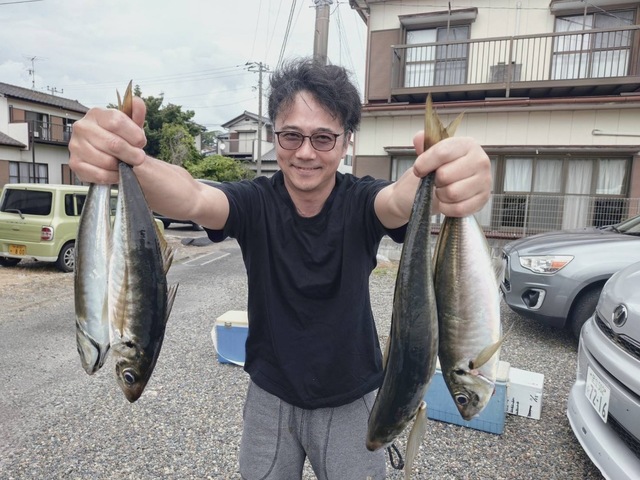 アジ(マアジ)