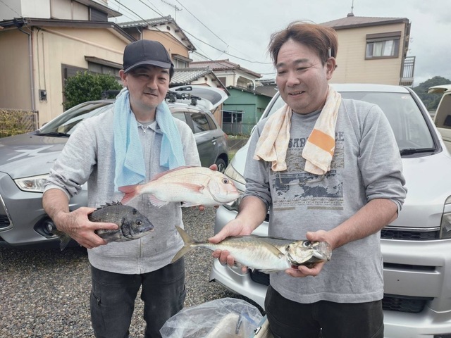 アジ(マアジ)
