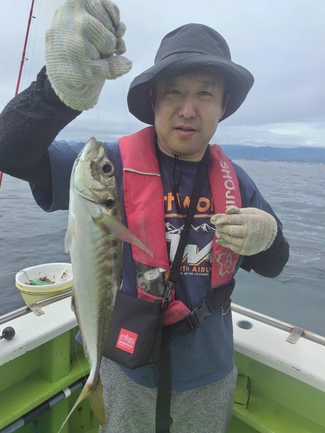 アジ(マアジ)