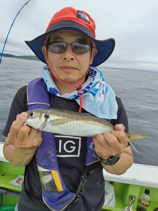 アジ(マアジ)