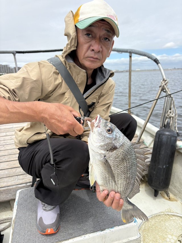 クロダイ