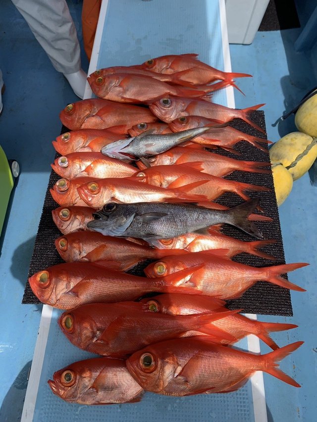 クロムツ・キンメ(キンメダイ)