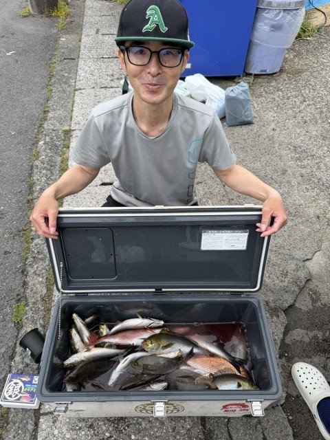 マダイ・イサキ