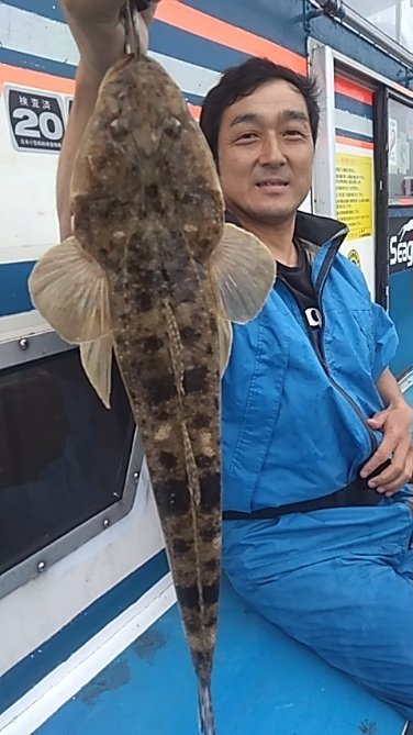 マゴチ