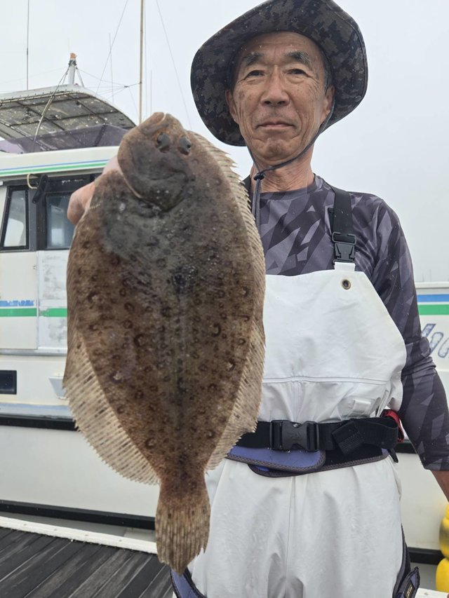 ヒラメ