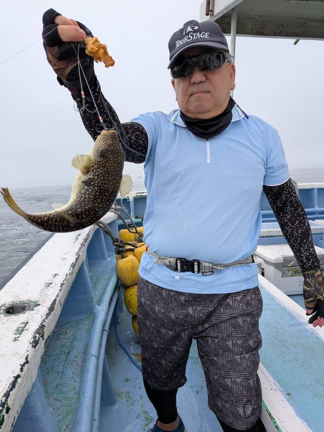 ショウサイフグ