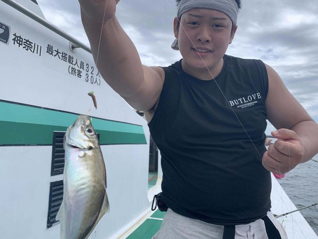 アジ(マアジ)