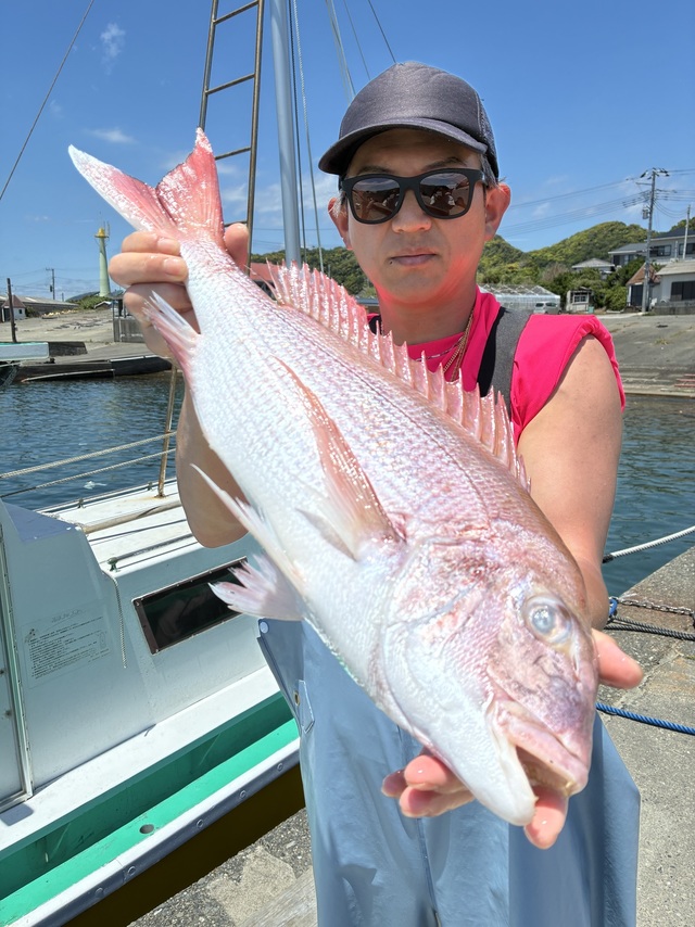 マダイ