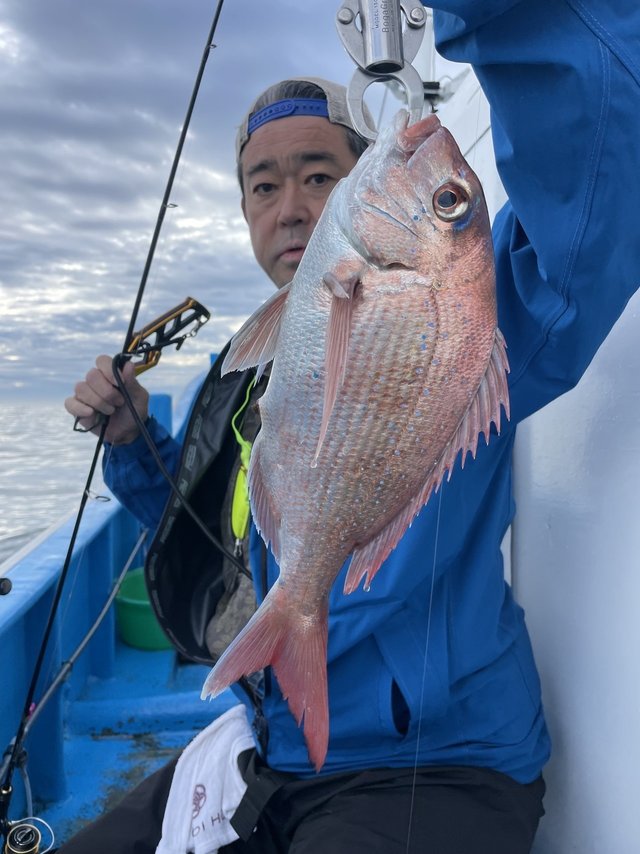 マダイ