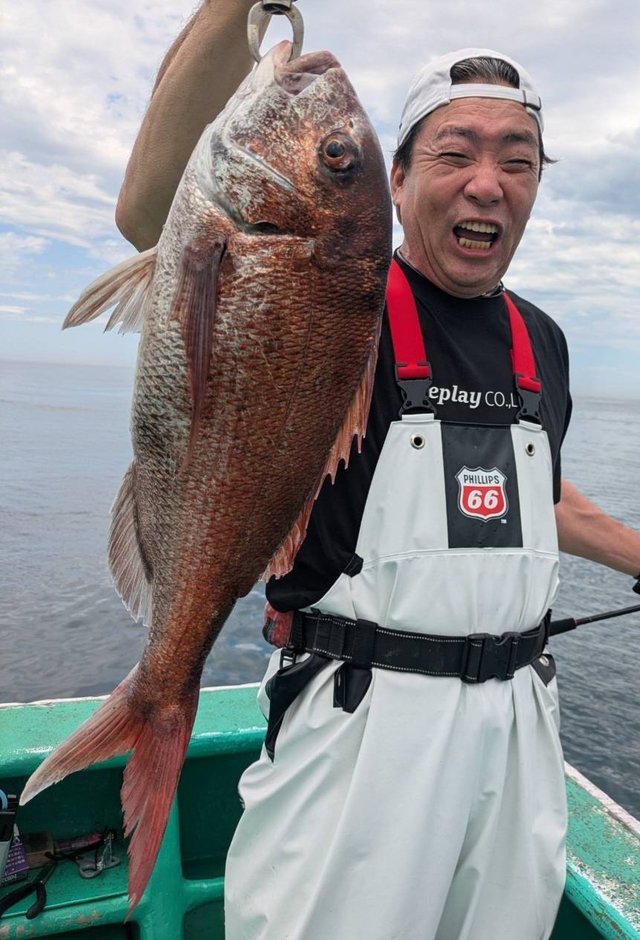 マダイ