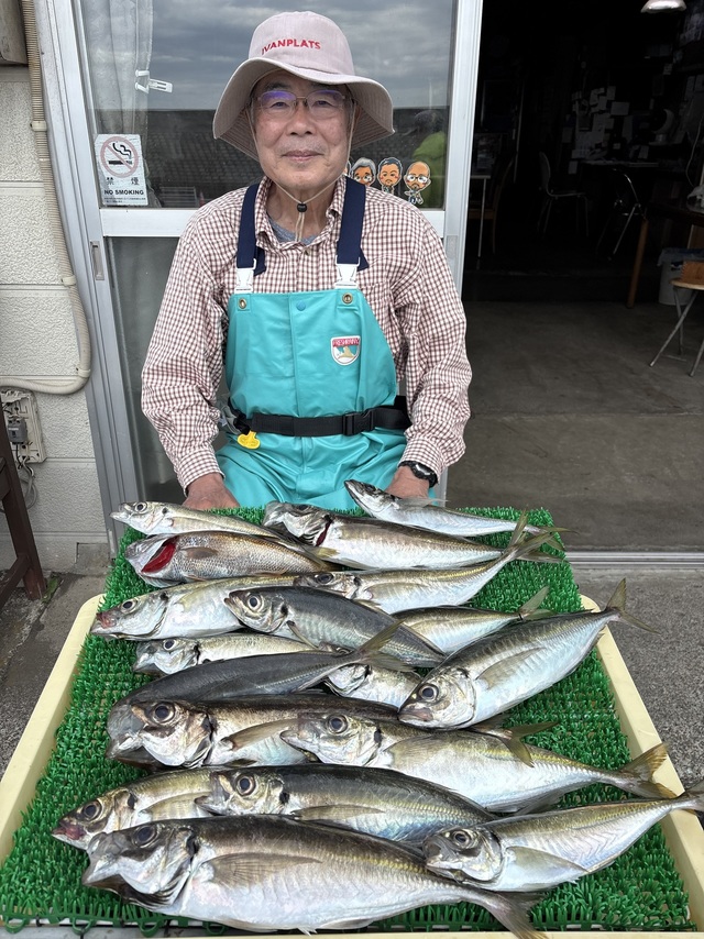 アジ(マアジ)
