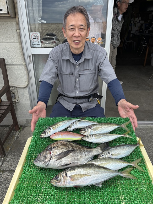 クロダイ・アジ(マアジ)