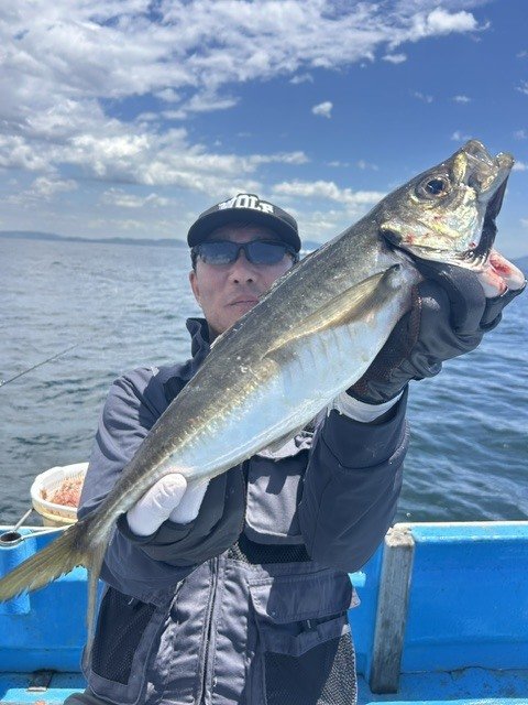アジ(マアジ)