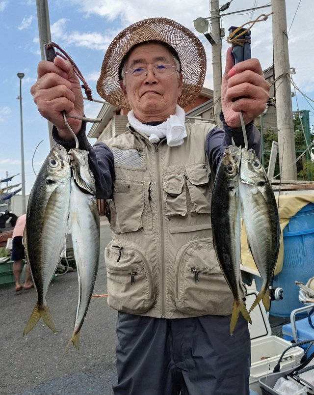 アジ(マアジ)