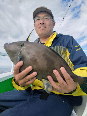 ウマヅラハギ