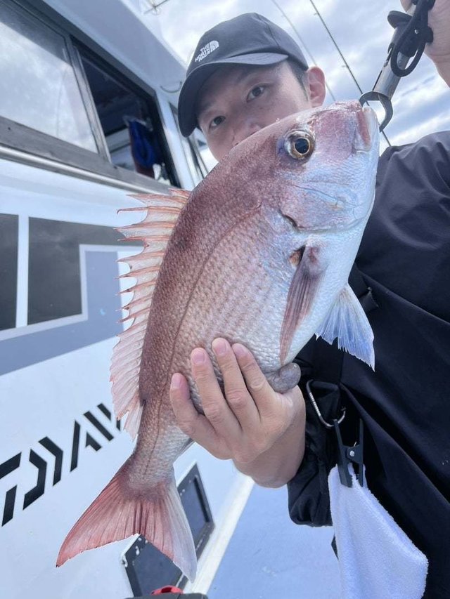 マダイ