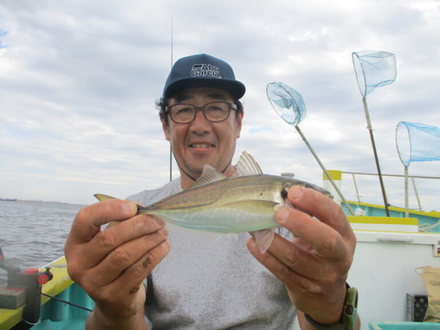 アジ(マアジ)