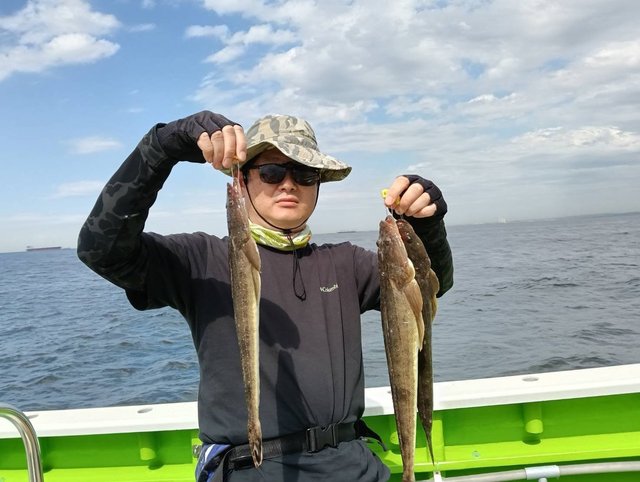 マゴチ
