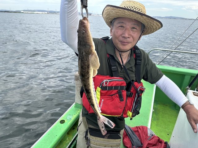 マゴチ