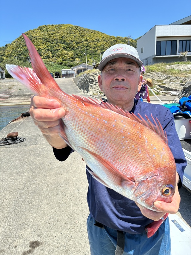 マダイ