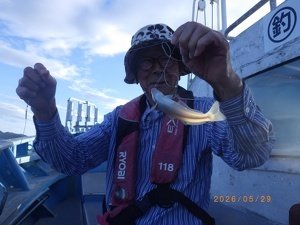 シロギス