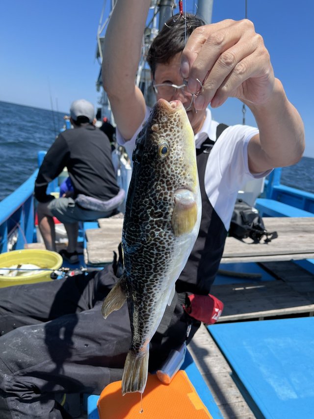 ショウサイフグ