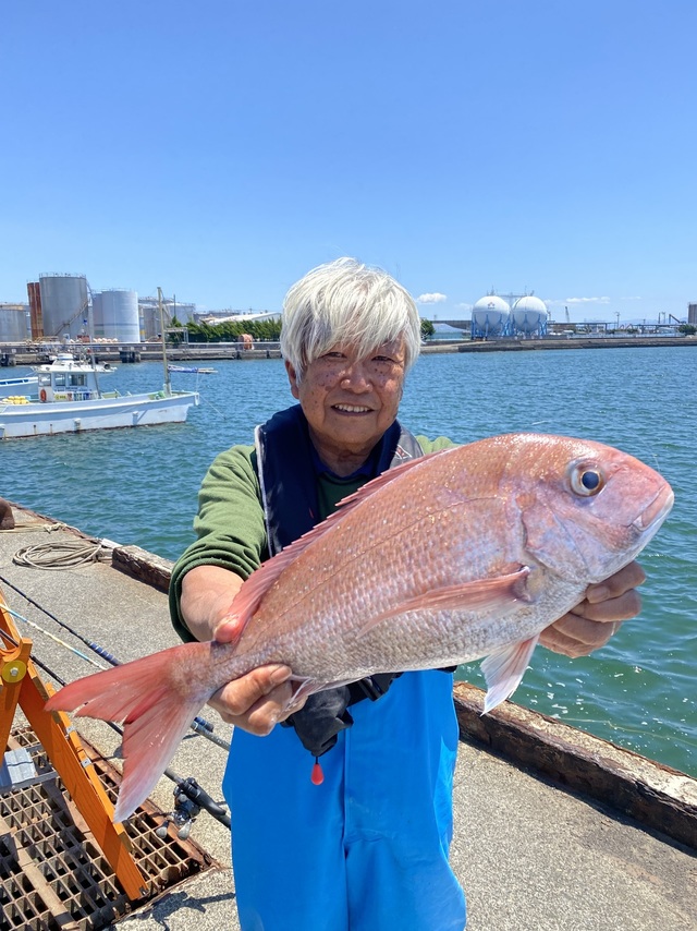 マダイ