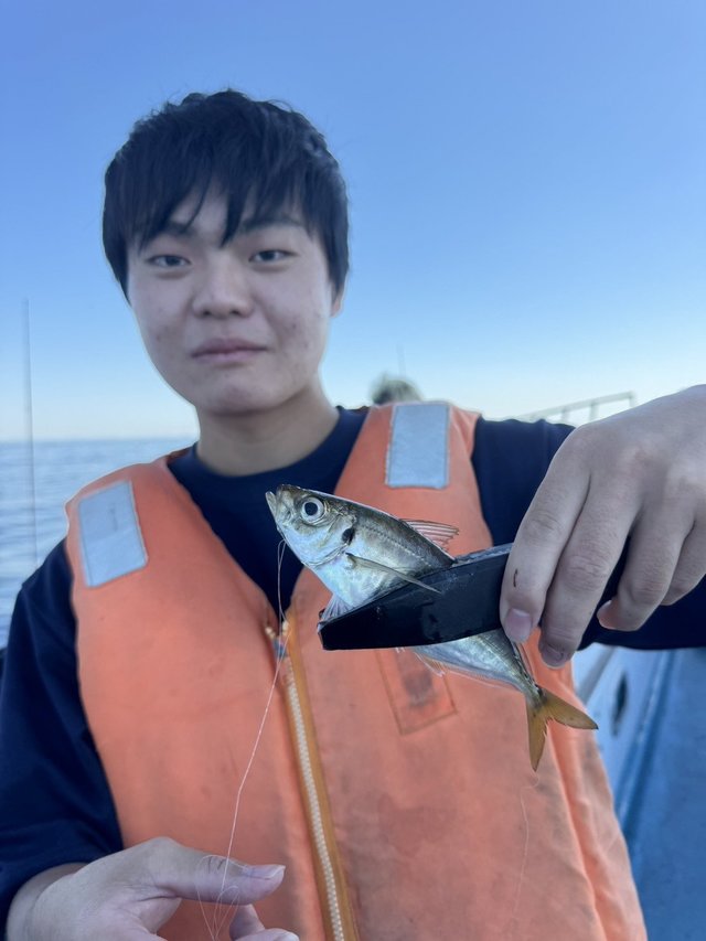 アジ(マアジ)