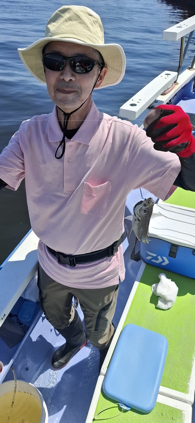 アジ(マアジ)