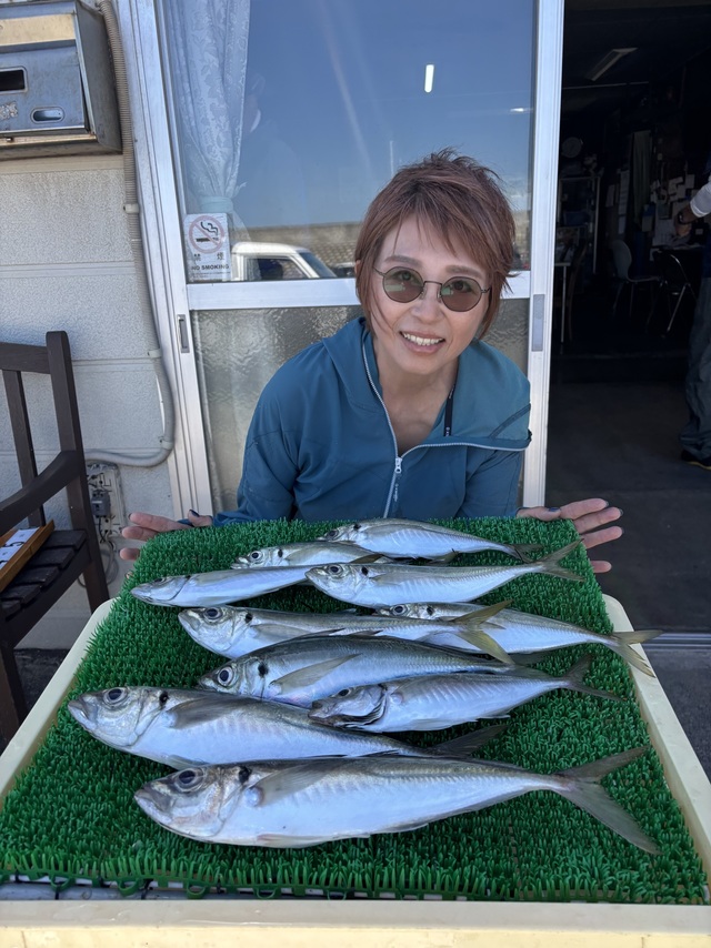 アジ(マアジ)