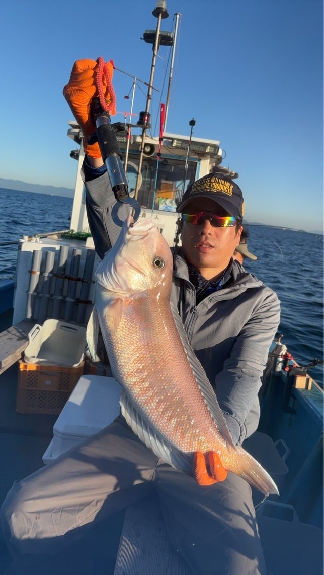 シロアマダイ