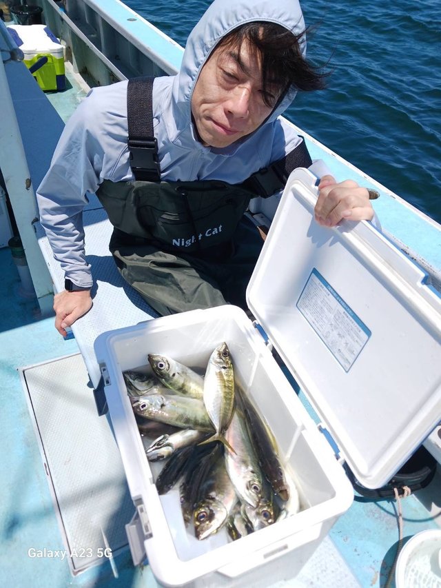 アジ(マアジ)