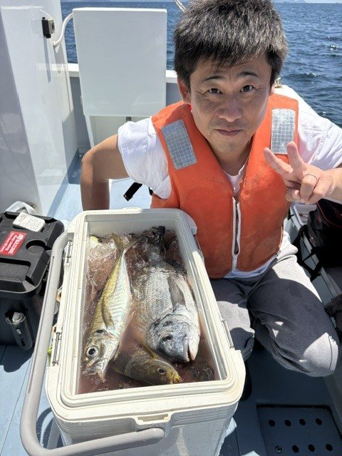 イシダイ・アジ(マアジ)