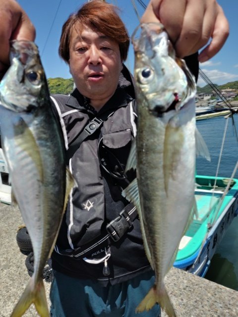 アジ(マアジ)
