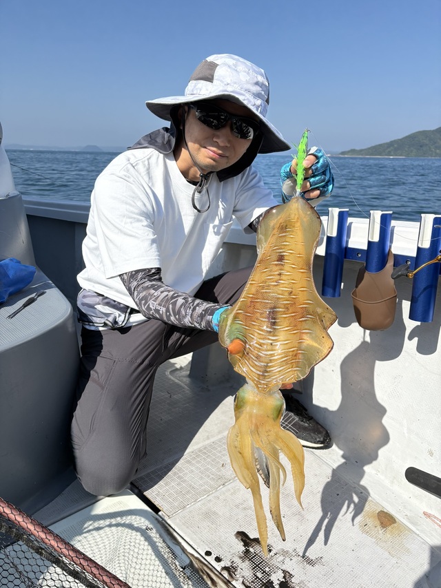 アオリイカ