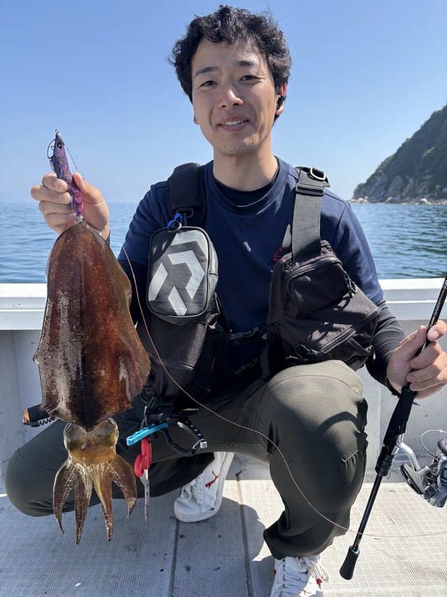 アオリイカ