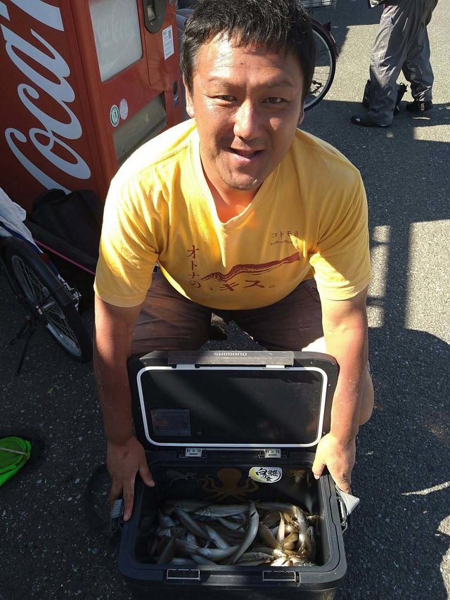 シロギス