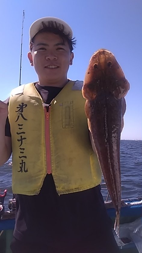 アジ(マアジ)